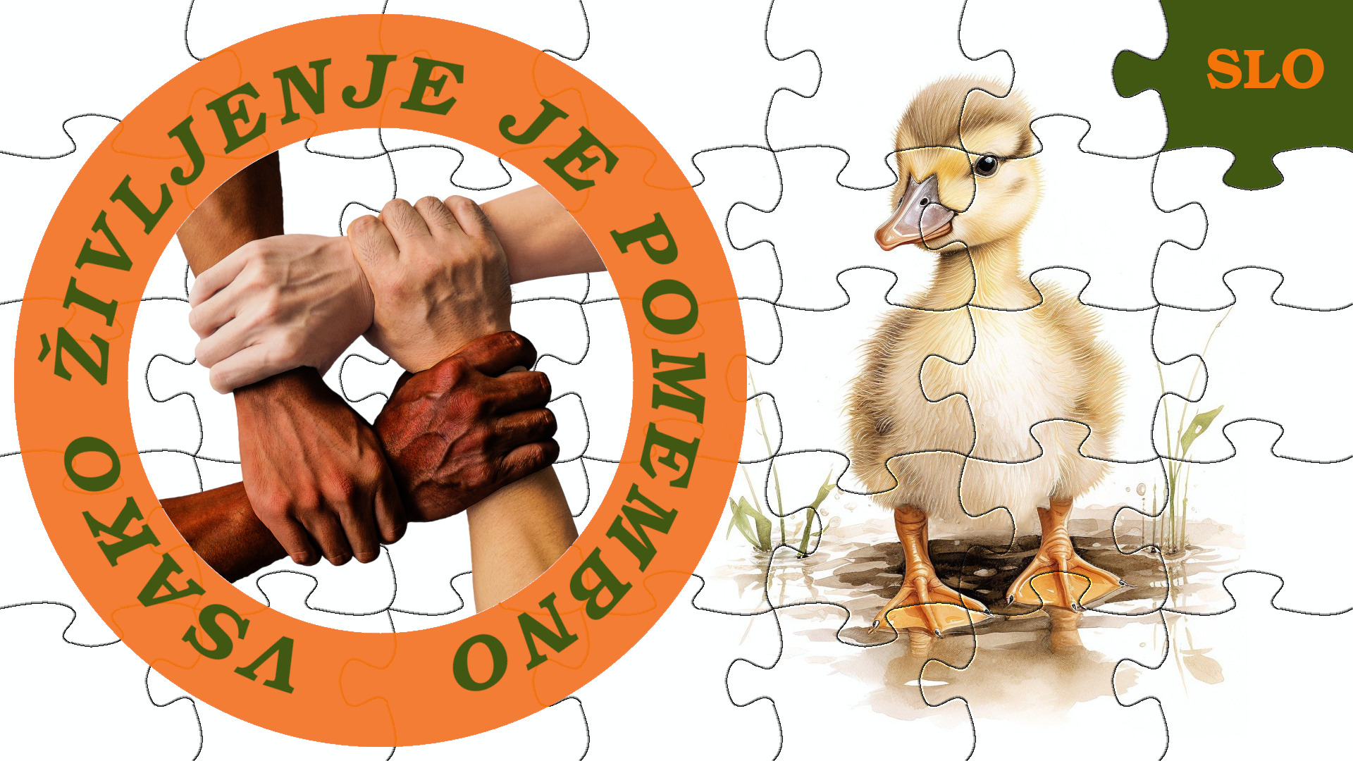 Vsako življenje je pomembno